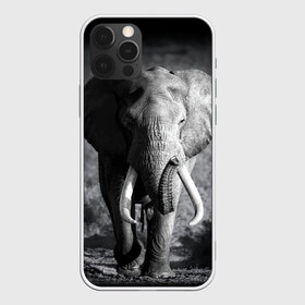 Чехол для iPhone 12 Pro Max с принтом Слон в Белгороде, Силикон |  | Тематика изображения на принте: africa | animal | big | black   white | elephant | go | road | savannah | wild | африка | большой | дикий | дорога | животное | идет | саванна | слон | черно   белый