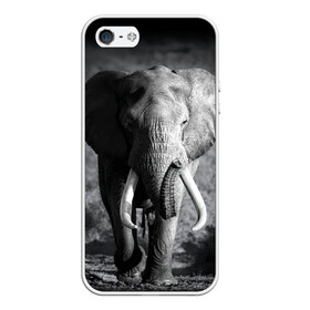 Чехол для iPhone 5/5S матовый с принтом Слон в Белгороде, Силикон | Область печати: задняя сторона чехла, без боковых панелей | africa | animal | big | black   white | elephant | go | road | savannah | wild | африка | большой | дикий | дорога | животное | идет | саванна | слон | черно   белый