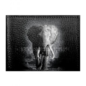 Обложка для студенческого билета с принтом Слон в Белгороде, натуральная кожа | Размер: 11*8 см; Печать на всей внешней стороне | africa | animal | big | black   white | elephant | go | road | savannah | wild | африка | большой | дикий | дорога | животное | идет | саванна | слон | черно   белый