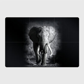Магнитный плакат 3Х2 с принтом Слон в Белгороде, Полимерный материал с магнитным слоем | 6 деталей размером 9*9 см | africa | animal | big | black   white | elephant | go | road | savannah | wild | африка | большой | дикий | дорога | животное | идет | саванна | слон | черно   белый
