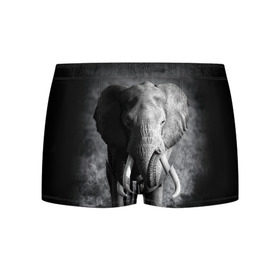 Мужские трусы 3D с принтом Слон в Белгороде, 50% хлопок, 50% полиэстер | классическая посадка, на поясе мягкая тканевая резинка | africa | animal | big | black   white | elephant | go | road | savannah | wild | африка | большой | дикий | дорога | животное | идет | саванна | слон | черно   белый