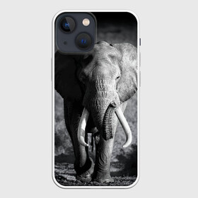 Чехол для iPhone 13 mini с принтом Слон в Белгороде,  |  | africa | animal | big | black   white | elephant | go | road | savannah | wild | африка | большой | дикий | дорога | животное | идет | саванна | слон | черно   белый