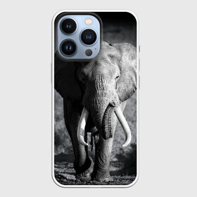 Чехол для iPhone 13 Pro с принтом Слон в Белгороде,  |  | africa | animal | big | black   white | elephant | go | road | savannah | wild | африка | большой | дикий | дорога | животное | идет | саванна | слон | черно   белый