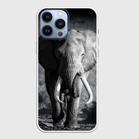 Чехол для iPhone 13 Pro Max с принтом Слон в Белгороде,  |  | Тематика изображения на принте: africa | animal | big | black   white | elephant | go | road | savannah | wild | африка | большой | дикий | дорога | животное | идет | саванна | слон | черно   белый