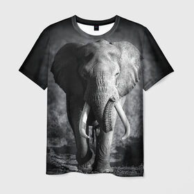 Мужская футболка 3D с принтом Слон в Белгороде, 100% полиэфир | прямой крой, круглый вырез горловины, длина до линии бедер | Тематика изображения на принте: africa | animal | big | black   white | elephant | go | road | savannah | wild | африка | большой | дикий | дорога | животное | идет | саванна | слон | черно   белый