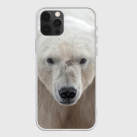 Чехол для iPhone 12 Pro Max с принтом Белый медведь в Белгороде, Силикон |  | Тематика изображения на принте: animal | bear | eyes | head | north | polar | predator | white | wild | белый | взгляд | голова | дикий | животное | медведь | полярный | север | хищник