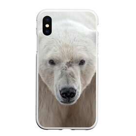 Чехол для iPhone XS Max матовый с принтом Белый медведь в Белгороде, Силикон | Область печати: задняя сторона чехла, без боковых панелей | animal | bear | eyes | head | north | polar | predator | white | wild | белый | взгляд | голова | дикий | животное | медведь | полярный | север | хищник