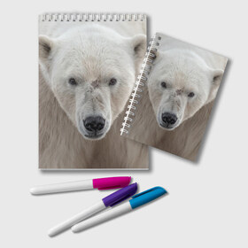 Блокнот с принтом Белый медведь в Белгороде, 100% бумага | 48 листов, плотность листов — 60 г/м2, плотность картонной обложки — 250 г/м2. Листы скреплены удобной пружинной спиралью. Цвет линий — светло-серый
 | Тематика изображения на принте: animal | bear | eyes | head | north | polar | predator | white | wild | белый | взгляд | голова | дикий | животное | медведь | полярный | север | хищник