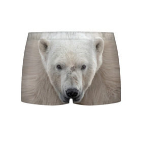 Мужские трусы 3D с принтом Белый медведь в Белгороде, 50% хлопок, 50% полиэстер | классическая посадка, на поясе мягкая тканевая резинка | Тематика изображения на принте: animal | bear | eyes | head | north | polar | predator | white | wild | белый | взгляд | голова | дикий | животное | медведь | полярный | север | хищник