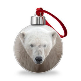 Ёлочный шар с принтом Белый медведь в Белгороде, Пластик | Диаметр: 77 мм | animal | bear | eyes | head | north | polar | predator | white | wild | белый | взгляд | голова | дикий | животное | медведь | полярный | север | хищник