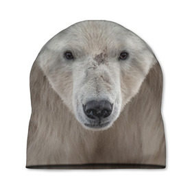 Шапка 3D с принтом Белый медведь в Белгороде, 100% полиэстер | универсальный размер, печать по всей поверхности изделия | Тематика изображения на принте: animal | bear | eyes | head | north | polar | predator | white | wild | белый | взгляд | голова | дикий | животное | медведь | полярный | север | хищник