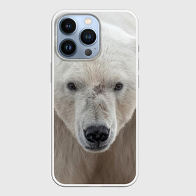 Чехол для iPhone 13 Pro с принтом Белый медведь в Белгороде,  |  | Тематика изображения на принте: animal | bear | eyes | head | north | polar | predator | white | wild | белый | взгляд | голова | дикий | животное | медведь | полярный | север | хищник