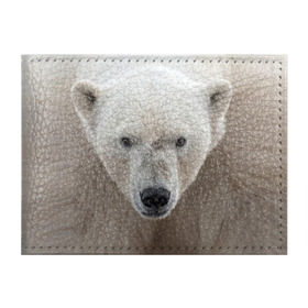 Обложка для студенческого билета с принтом Белый медведь в Белгороде, натуральная кожа | Размер: 11*8 см; Печать на всей внешней стороне | Тематика изображения на принте: animal | bear | eyes | head | north | polar | predator | white | wild | белый | взгляд | голова | дикий | животное | медведь | полярный | север | хищник
