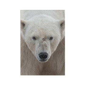 Обложка для паспорта матовая кожа с принтом Белый медведь в Белгороде, натуральная матовая кожа | размер 19,3 х 13,7 см; прозрачные пластиковые крепления | animal | bear | eyes | head | north | polar | predator | white | wild | белый | взгляд | голова | дикий | животное | медведь | полярный | север | хищник