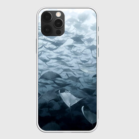 Чехол для iPhone 12 Pro Max с принтом Электрические скаты в Белгороде, Силикон |  | depth | fish | lot | ocean | power | rays | school | sea | water | вода | глубина | косяк | много | море | океан | рыбы | скаты | электрические