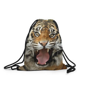 Рюкзак-мешок 3D с принтом Тигр в Белгороде, 100% полиэстер | плотность ткани — 200 г/м2, размер — 35 х 45 см; лямки — толстые шнурки, застежка на шнуровке, без карманов и подкладки | angry | animal | beast | jaws | predator | teeth | tiger | животное | зверь | злой | клыки | оскал | пасть | тигр | хищник