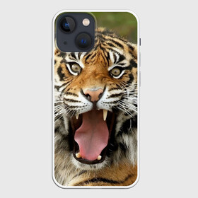 Чехол для iPhone 13 mini с принтом Тигр в Белгороде,  |  | angry | animal | beast | jaws | predator | teeth | tiger | животное | зверь | злой | клыки | оскал | пасть | тигр | хищник