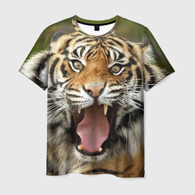 Мужская футболка 3D с принтом Тигр в Белгороде, 100% полиэфир | прямой крой, круглый вырез горловины, длина до линии бедер | angry | animal | beast | jaws | predator | teeth | tiger | животное | зверь | злой | клыки | оскал | пасть | тигр | хищник