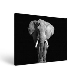 Холст прямоугольный с принтом Слон в Белгороде, 100% ПВХ |  | africa | big | black   white | elephant is an animal | shroud | tusks | африка | бивни | большой | животное | идет | савана | слон | черно   белый