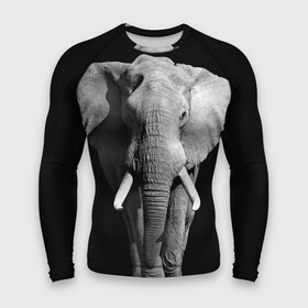 Мужской рашгард 3D с принтом Слон в Белгороде,  |  | africa | big | black   white | elephant is an animal | shroud | tusks | африка | бивни | большой | животное | идет | савана | слон | черно   белый