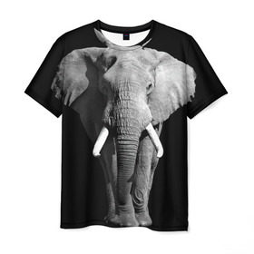 Мужская футболка 3D с принтом Слон в Белгороде, 100% полиэфир | прямой крой, круглый вырез горловины, длина до линии бедер | africa | big | black   white | elephant is an animal | shroud | tusks | африка | бивни | большой | животное | идет | савана | слон | черно   белый