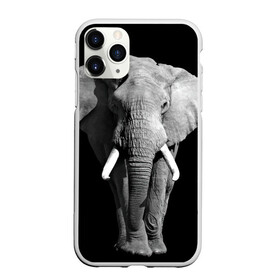 Чехол для iPhone 11 Pro Max матовый с принтом Слон в Белгороде, Силикон |  | Тематика изображения на принте: africa | big | black   white | elephant is an animal | shroud | tusks | африка | бивни | большой | животное | идет | савана | слон | черно   белый