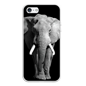Чехол для iPhone 5/5S матовый с принтом Слон в Белгороде, Силикон | Область печати: задняя сторона чехла, без боковых панелей | africa | big | black   white | elephant is an animal | shroud | tusks | африка | бивни | большой | животное | идет | савана | слон | черно   белый