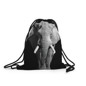 Рюкзак-мешок 3D с принтом Слон в Белгороде, 100% полиэстер | плотность ткани — 200 г/м2, размер — 35 х 45 см; лямки — толстые шнурки, застежка на шнуровке, без карманов и подкладки | africa | big | black   white | elephant is an animal | shroud | tusks | африка | бивни | большой | животное | идет | савана | слон | черно   белый