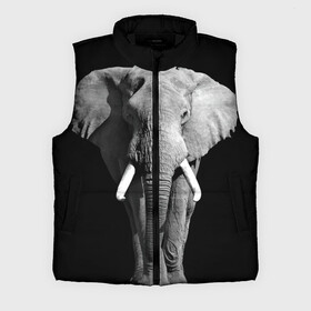 Мужской жилет утепленный 3D с принтом Слон в Белгороде,  |  | africa | big | black   white | elephant is an animal | shroud | tusks | африка | бивни | большой | животное | идет | савана | слон | черно   белый