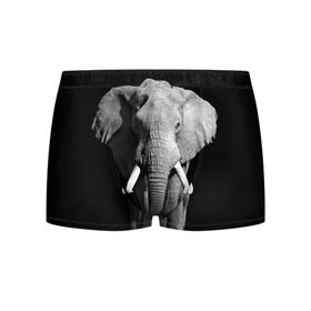 Мужские трусы 3D с принтом Слон в Белгороде, 50% хлопок, 50% полиэстер | классическая посадка, на поясе мягкая тканевая резинка | africa | big | black   white | elephant is an animal | shroud | tusks | африка | бивни | большой | животное | идет | савана | слон | черно   белый