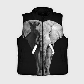 Женский жилет утепленный 3D с принтом Слон в Белгороде,  |  | africa | big | black   white | elephant is an animal | shroud | tusks | африка | бивни | большой | животное | идет | савана | слон | черно   белый