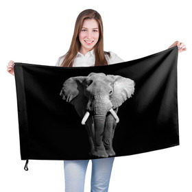 Флаг 3D с принтом Слон в Белгороде, 100% полиэстер | плотность ткани — 95 г/м2, размер — 67 х 109 см. Принт наносится с одной стороны | africa | big | black   white | elephant is an animal | shroud | tusks | африка | бивни | большой | животное | идет | савана | слон | черно   белый