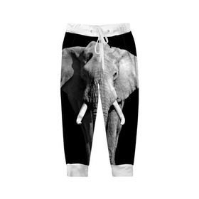 Детские брюки 3D с принтом Слон в Белгороде, 100% полиэстер | манжеты по низу, эластичный пояс регулируется шнурком, по бокам два кармана без застежек, внутренняя часть кармана из мелкой сетки | africa | big | black   white | elephant is an animal | shroud | tusks | африка | бивни | большой | животное | идет | савана | слон | черно   белый