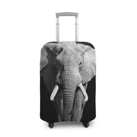 Чехол для чемодана 3D с принтом Слон в Белгороде, 86% полиэфир, 14% спандекс | двустороннее нанесение принта, прорези для ручек и колес | africa | big | black   white | elephant is an animal | shroud | tusks | африка | бивни | большой | животное | идет | савана | слон | черно   белый