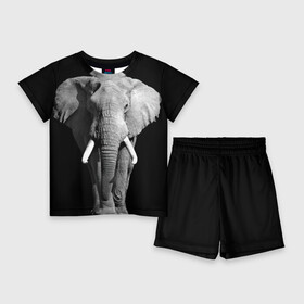 Детский костюм с шортами 3D с принтом Слон в Белгороде,  |  | africa | big | black   white | elephant is an animal | shroud | tusks | африка | бивни | большой | животное | идет | савана | слон | черно   белый