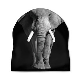 Шапка 3D с принтом Слон в Белгороде, 100% полиэстер | универсальный размер, печать по всей поверхности изделия | africa | big | black   white | elephant is an animal | shroud | tusks | африка | бивни | большой | животное | идет | савана | слон | черно   белый