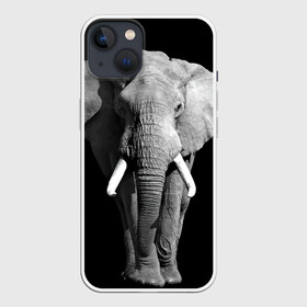 Чехол для iPhone 13 с принтом Слон в Белгороде,  |  | africa | big | black   white | elephant is an animal | shroud | tusks | африка | бивни | большой | животное | идет | савана | слон | черно   белый