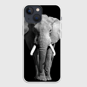 Чехол для iPhone 13 mini с принтом Слон в Белгороде,  |  | africa | big | black   white | elephant is an animal | shroud | tusks | африка | бивни | большой | животное | идет | савана | слон | черно   белый