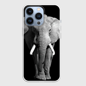 Чехол для iPhone 13 Pro с принтом Слон в Белгороде,  |  | africa | big | black   white | elephant is an animal | shroud | tusks | африка | бивни | большой | животное | идет | савана | слон | черно   белый