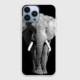 Чехол для iPhone 13 Pro Max с принтом Слон в Белгороде,  |  | africa | big | black   white | elephant is an animal | shroud | tusks | африка | бивни | большой | животное | идет | савана | слон | черно   белый