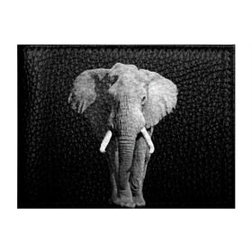 Обложка для студенческого билета с принтом Слон в Белгороде, натуральная кожа | Размер: 11*8 см; Печать на всей внешней стороне | africa | big | black   white | elephant is an animal | shroud | tusks | африка | бивни | большой | животное | идет | савана | слон | черно   белый