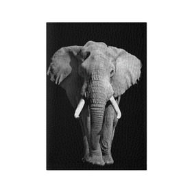 Обложка для паспорта матовая кожа с принтом Слон в Белгороде, натуральная матовая кожа | размер 19,3 х 13,7 см; прозрачные пластиковые крепления | Тематика изображения на принте: africa | big | black   white | elephant is an animal | shroud | tusks | африка | бивни | большой | животное | идет | савана | слон | черно   белый