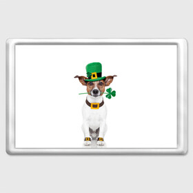 Магнит 45*70 с принтом Ирландия в Белгороде, Пластик | Размер: 78*52 мм; Размер печати: 70*45 | animal | breed | clover | dog | folk | fun | funny | hat | hero | ireland | irish | saint patrick | герой | животное | ирландия | ирландский | клевер | народный | порода | прикол | святой патрик | собака | шляпа | шутка