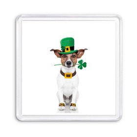 Магнит 55*55 с принтом Ирландия в Белгороде, Пластик | Размер: 65*65 мм; Размер печати: 55*55 мм | Тематика изображения на принте: animal | breed | clover | dog | folk | fun | funny | hat | hero | ireland | irish | saint patrick | герой | животное | ирландия | ирландский | клевер | народный | порода | прикол | святой патрик | собака | шляпа | шутка