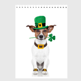 Скетчбук с принтом Ирландия в Белгороде, 100% бумага
 | 48 листов, плотность листов — 100 г/м2, плотность картонной обложки — 250 г/м2. Листы скреплены сверху удобной пружинной спиралью | Тематика изображения на принте: animal | breed | clover | dog | folk | fun | funny | hat | hero | ireland | irish | saint patrick | герой | животное | ирландия | ирландский | клевер | народный | порода | прикол | святой патрик | собака | шляпа | шутка
