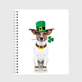 Тетрадь с принтом Ирландия в Белгороде, 100% бумага | 48 листов, плотность листов — 60 г/м2, плотность картонной обложки — 250 г/м2. Листы скреплены сбоку удобной пружинной спиралью. Уголки страниц и обложки скругленные. Цвет линий — светло-серый
 | animal | breed | clover | dog | folk | fun | funny | hat | hero | ireland | irish | saint patrick | герой | животное | ирландия | ирландский | клевер | народный | порода | прикол | святой патрик | собака | шляпа | шутка