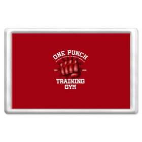 Магнит 45*70 с принтом One Punch Gym в Белгороде, Пластик | Размер: 78*52 мм; Размер печати: 70*45 | boxing | combat | fight | fighter | kickboxing | muay thai | wrestling | боец | бой | бокс | боксер | драка | кикбоксинг | май тай