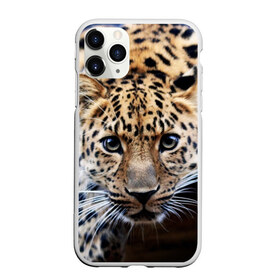 Чехол для iPhone 11 Pro Max матовый с принтом Леопард в Белгороде, Силикон |  | взгляд | глаза | дикая кошка | леопард | хищник