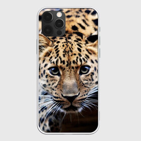 Чехол для iPhone 12 Pro Max с принтом Леопард в Белгороде, Силикон |  | Тематика изображения на принте: взгляд | глаза | дикая кошка | леопард | хищник