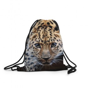 Рюкзак-мешок 3D с принтом Леопард в Белгороде, 100% полиэстер | плотность ткани — 200 г/м2, размер — 35 х 45 см; лямки — толстые шнурки, застежка на шнуровке, без карманов и подкладки | Тематика изображения на принте: взгляд | глаза | дикая кошка | леопард | хищник